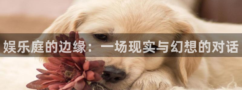 环球360私网代理合作