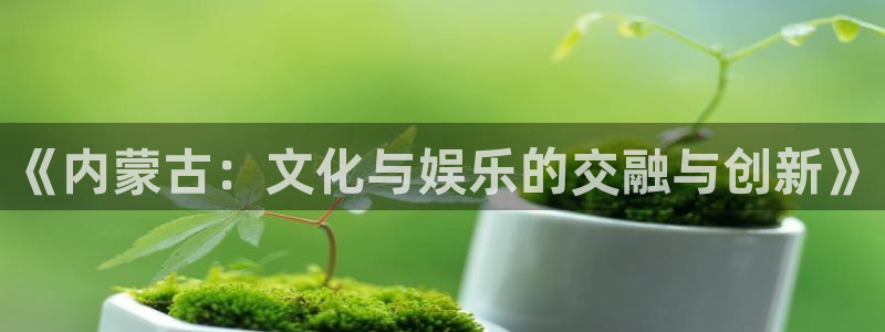 环球360私网代理合作