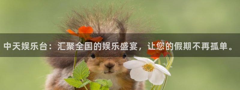 环球360官网会员注册