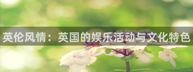 环球360一比一代理合作