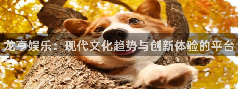 环球360私网代理合作