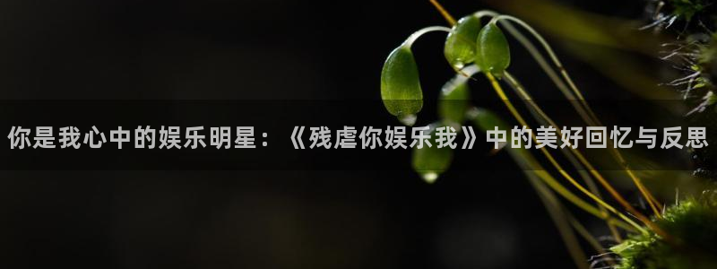 环球360一比一上分