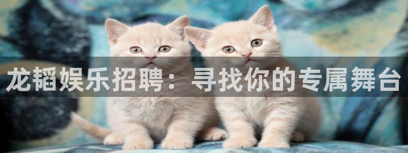 环球360一比一代理合作