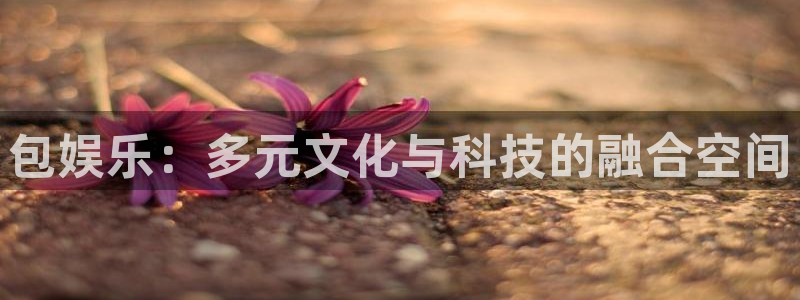环球360娱乐官网免费观看